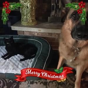 Meet your Posher, Nadine